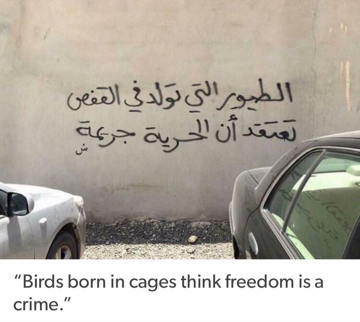 @عَوْسَجٌ حَزِينٌ