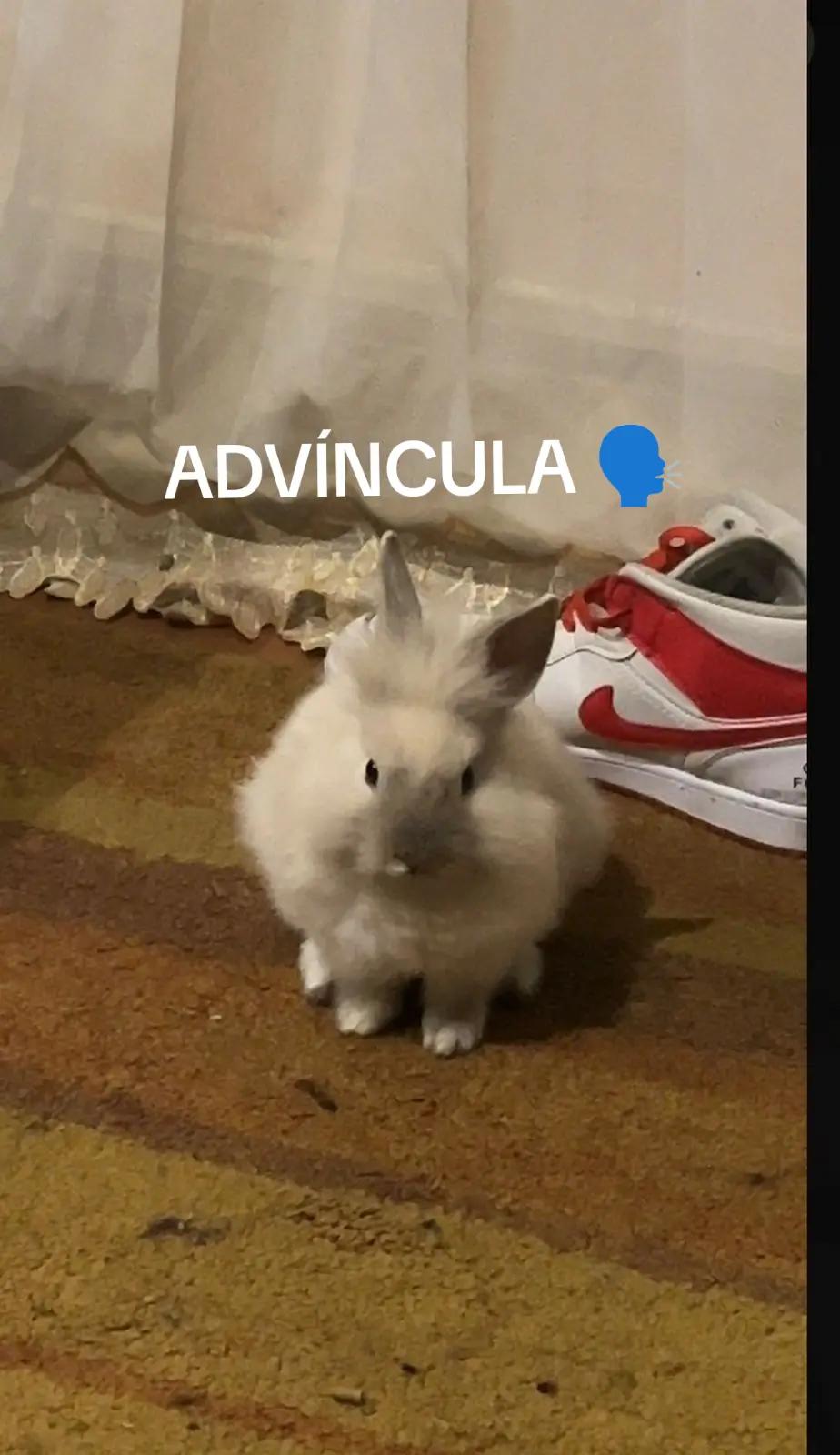 @JesusXsx