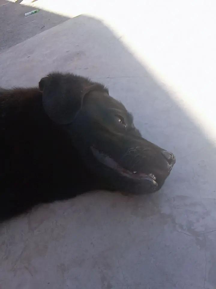 @Andr&eacute;s Demon Slayer