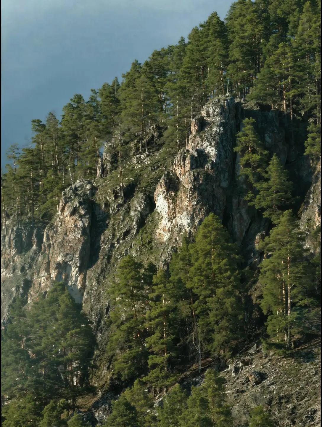 @Николай Холомьёв