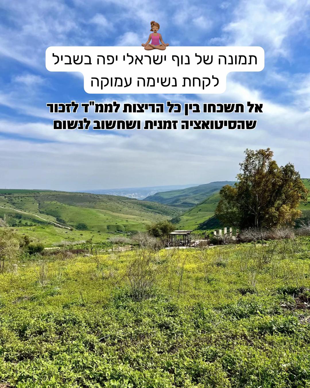 @michalgad