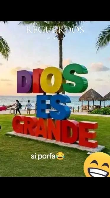 @cynthia navarro