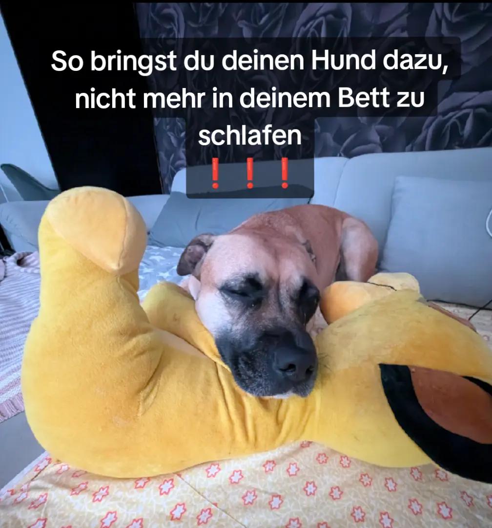 @greta.amelia222