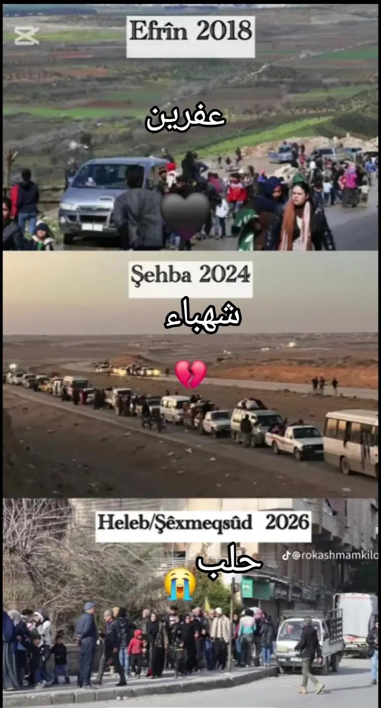 @شيخ رشيد