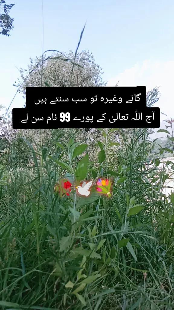 @✨Zahir_khan✨
