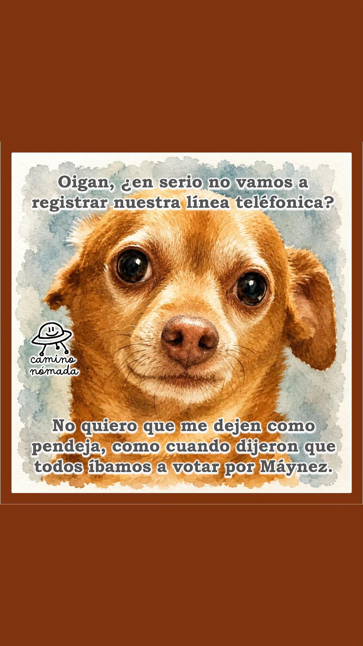 @Camino Nómada