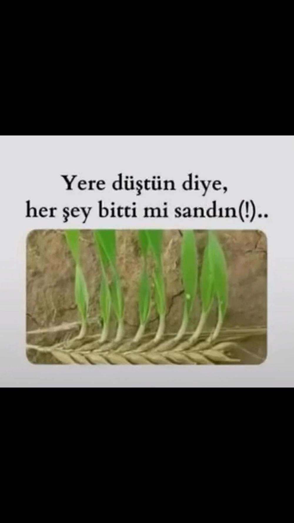 @Kenan001