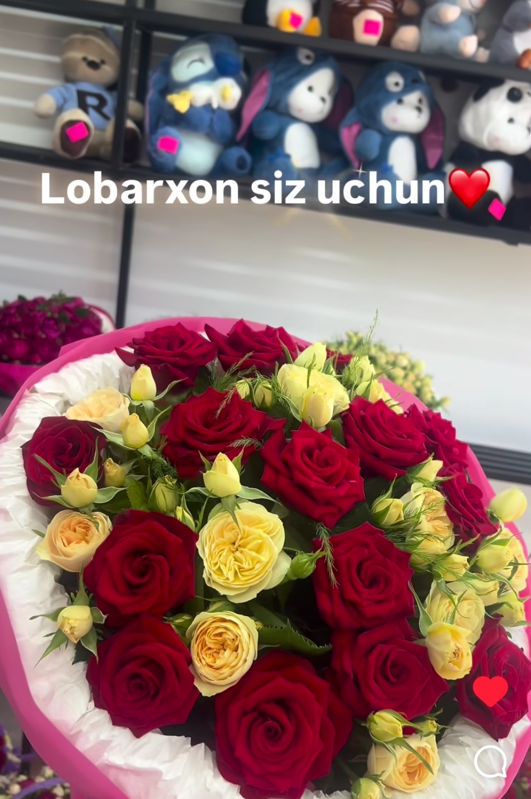 @Leyla