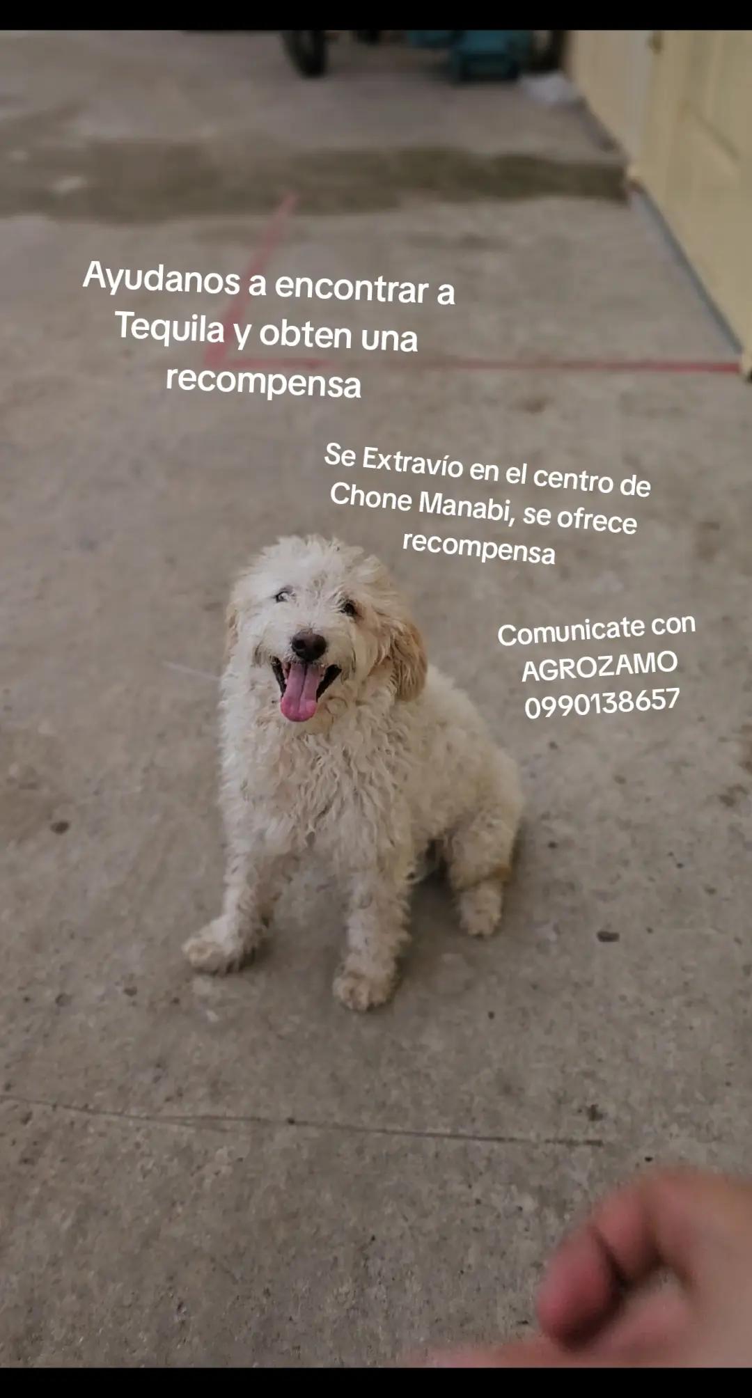 @AGROZAMO - Importadora