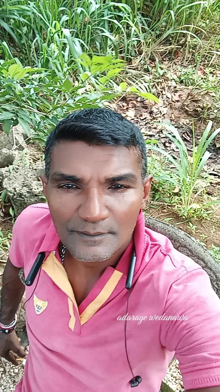 @Ramanayaka Ramanayaka