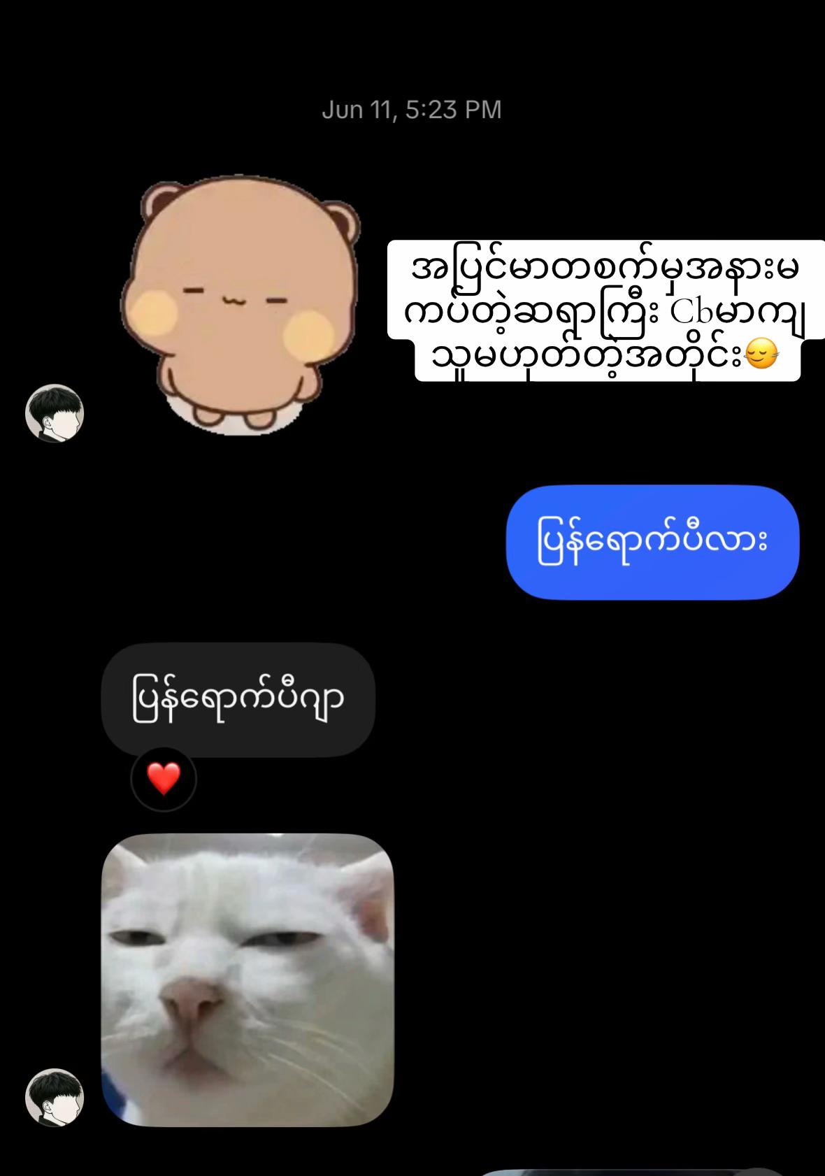 @Su Nandar Wai 2212