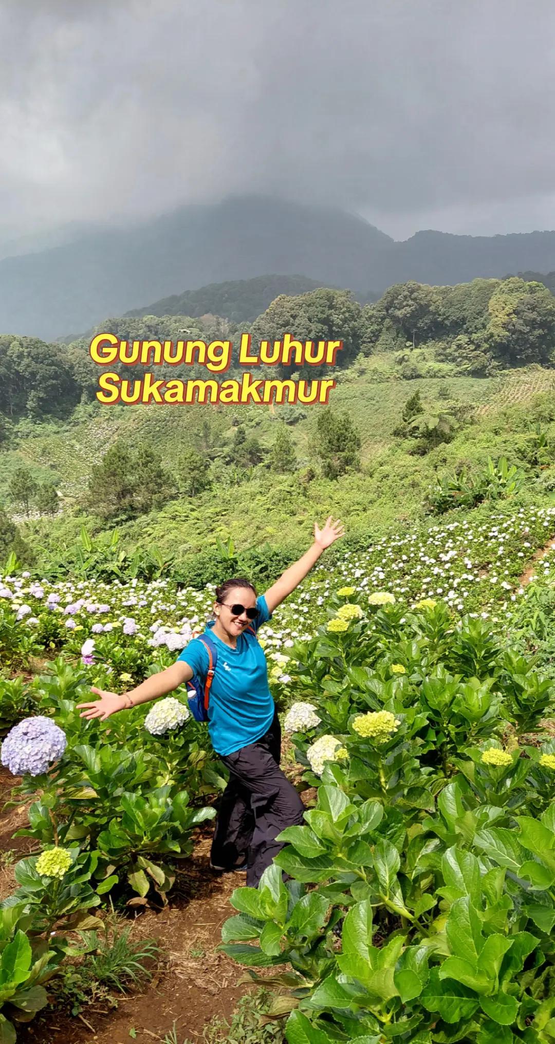 @Adhistiarini Lim