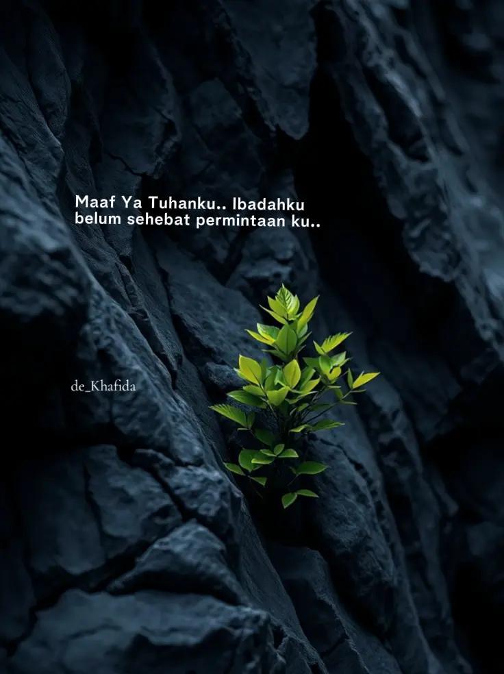 @de_Khafida