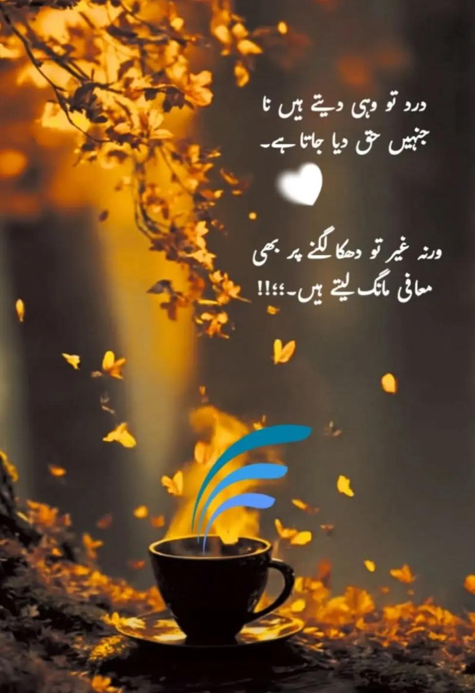 @NOOR QURESHI
