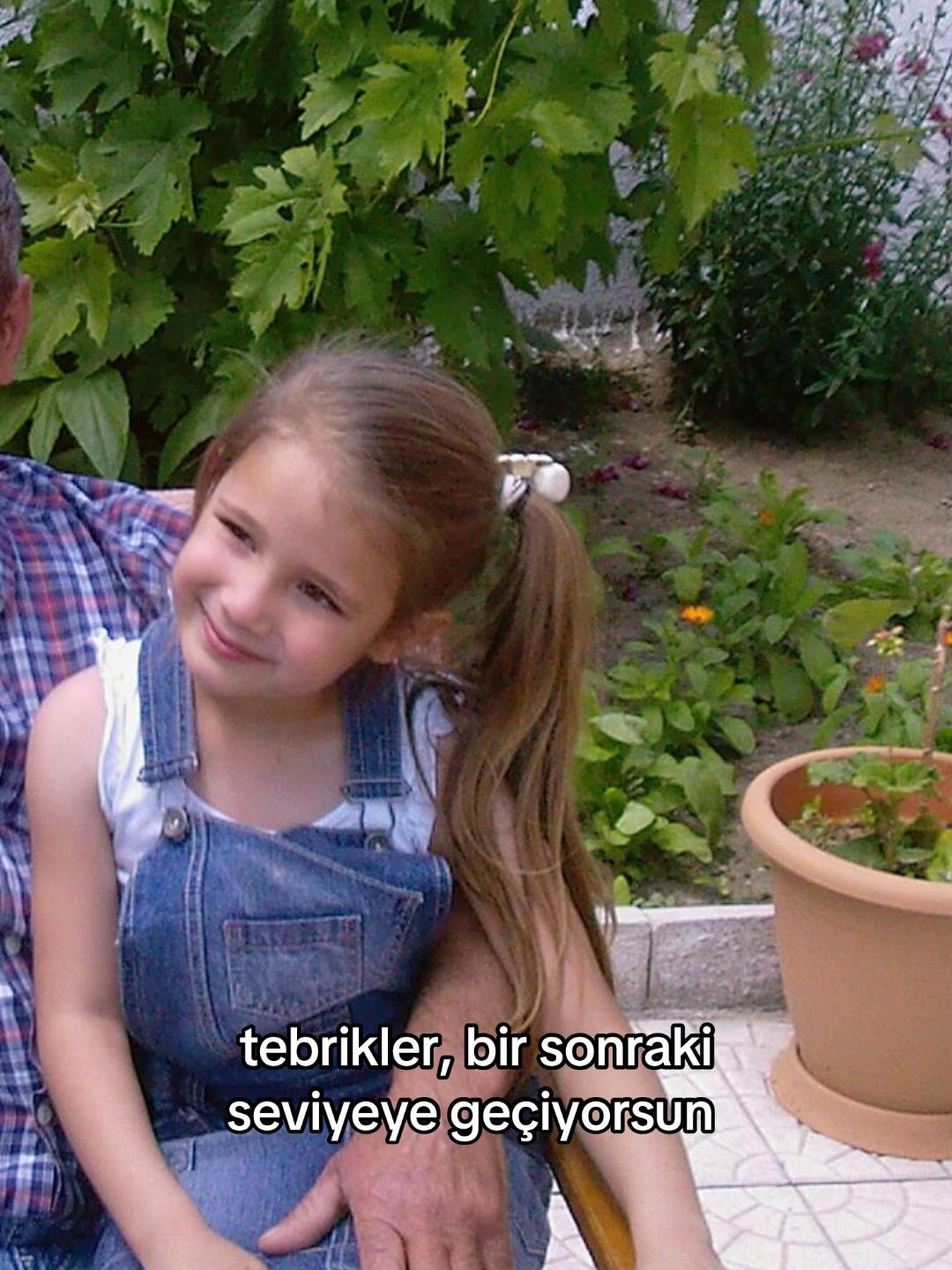 @damlallp