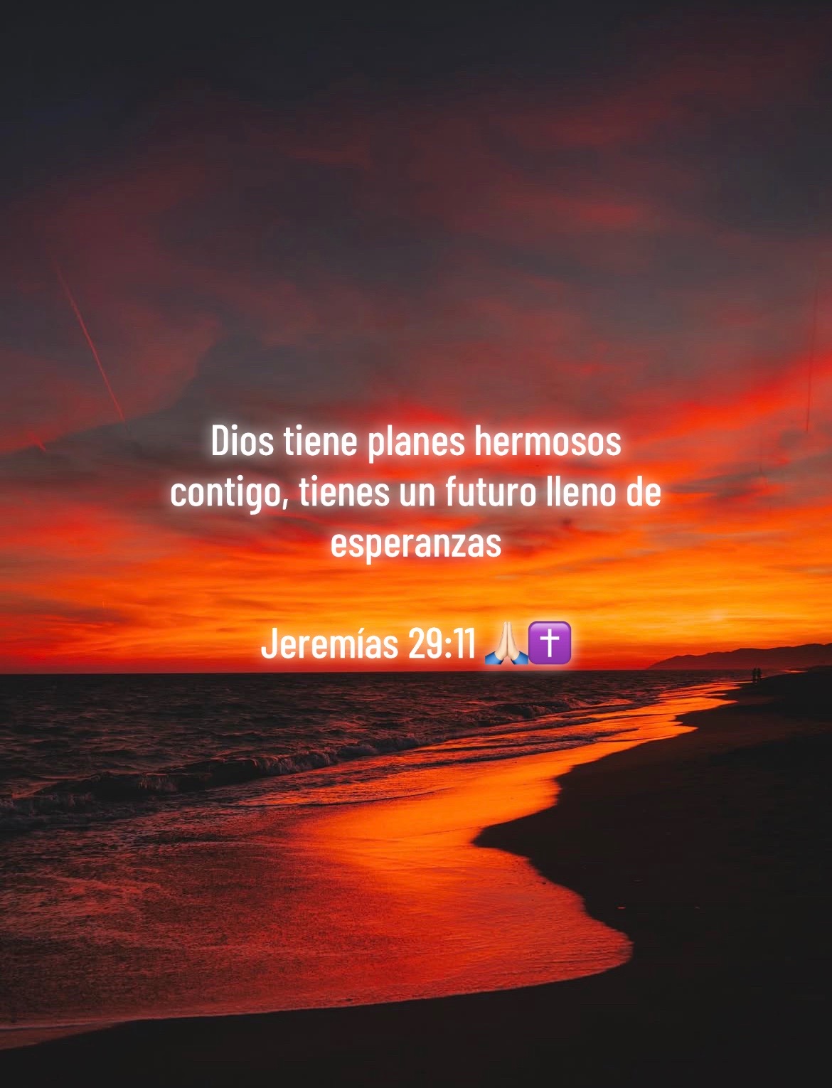 @guerrero_de_cristo✝️👑