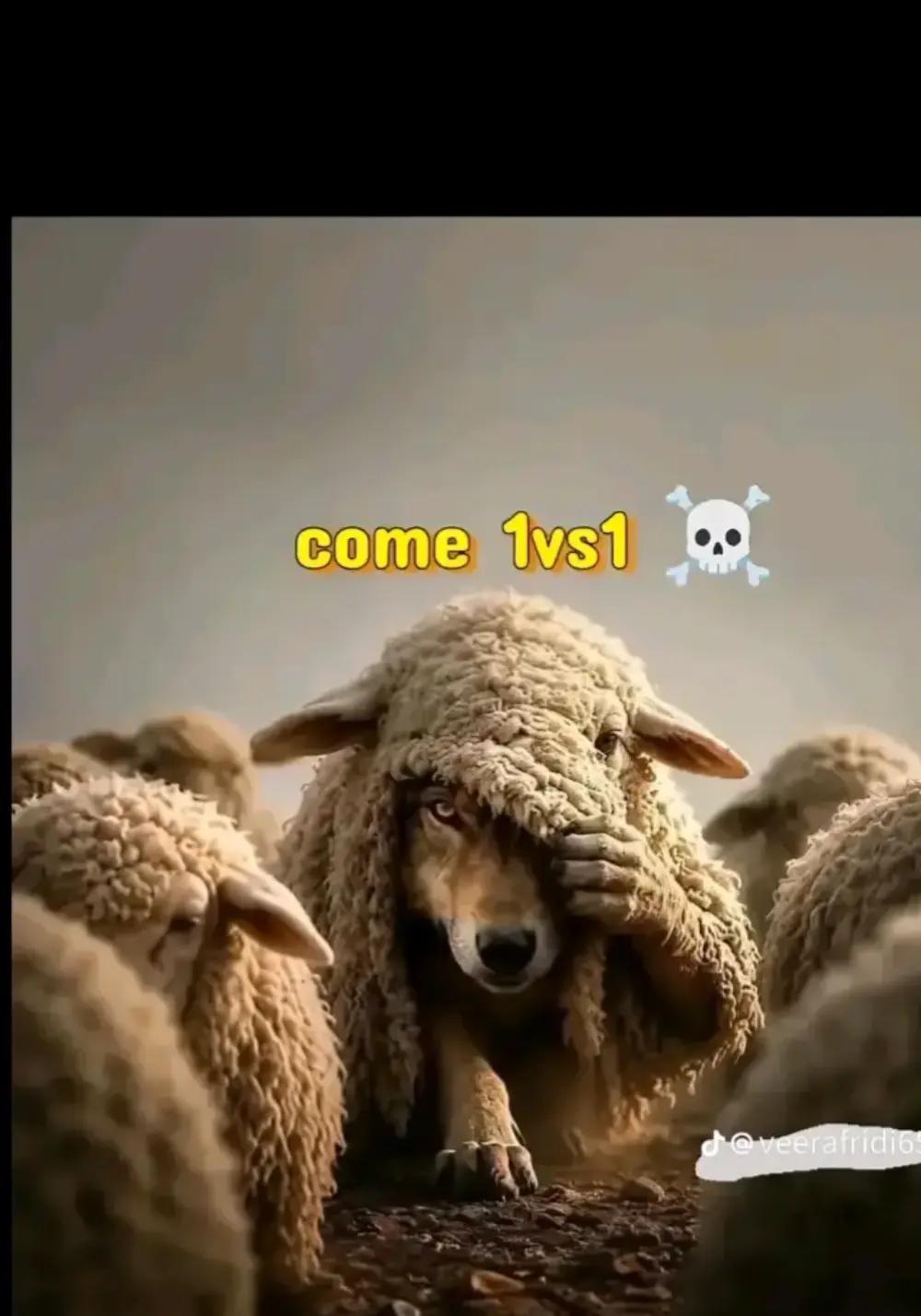 @亗 ᴍᴏsᴜʏ 亗 ɢᴀᴍɪɴɢ