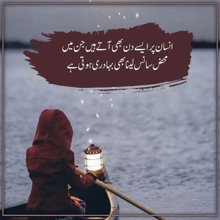 @Alisha_Sehar✨