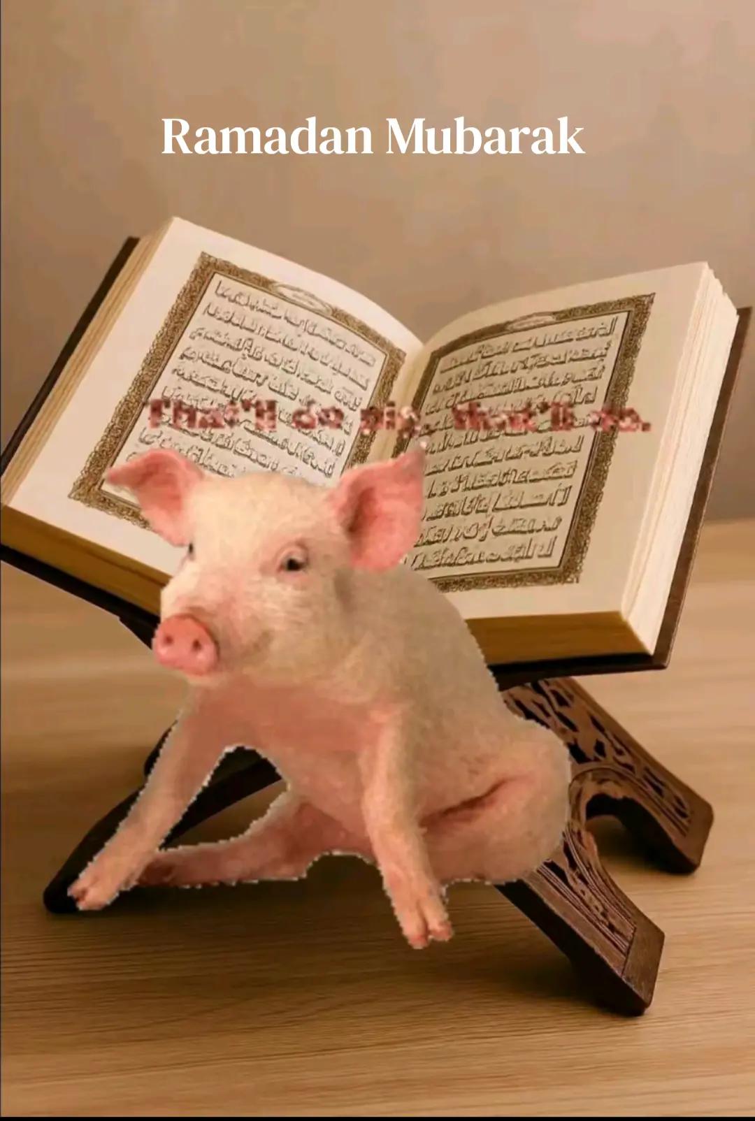 @GANDU MUHAMMAD GANDU MUHAMMAD