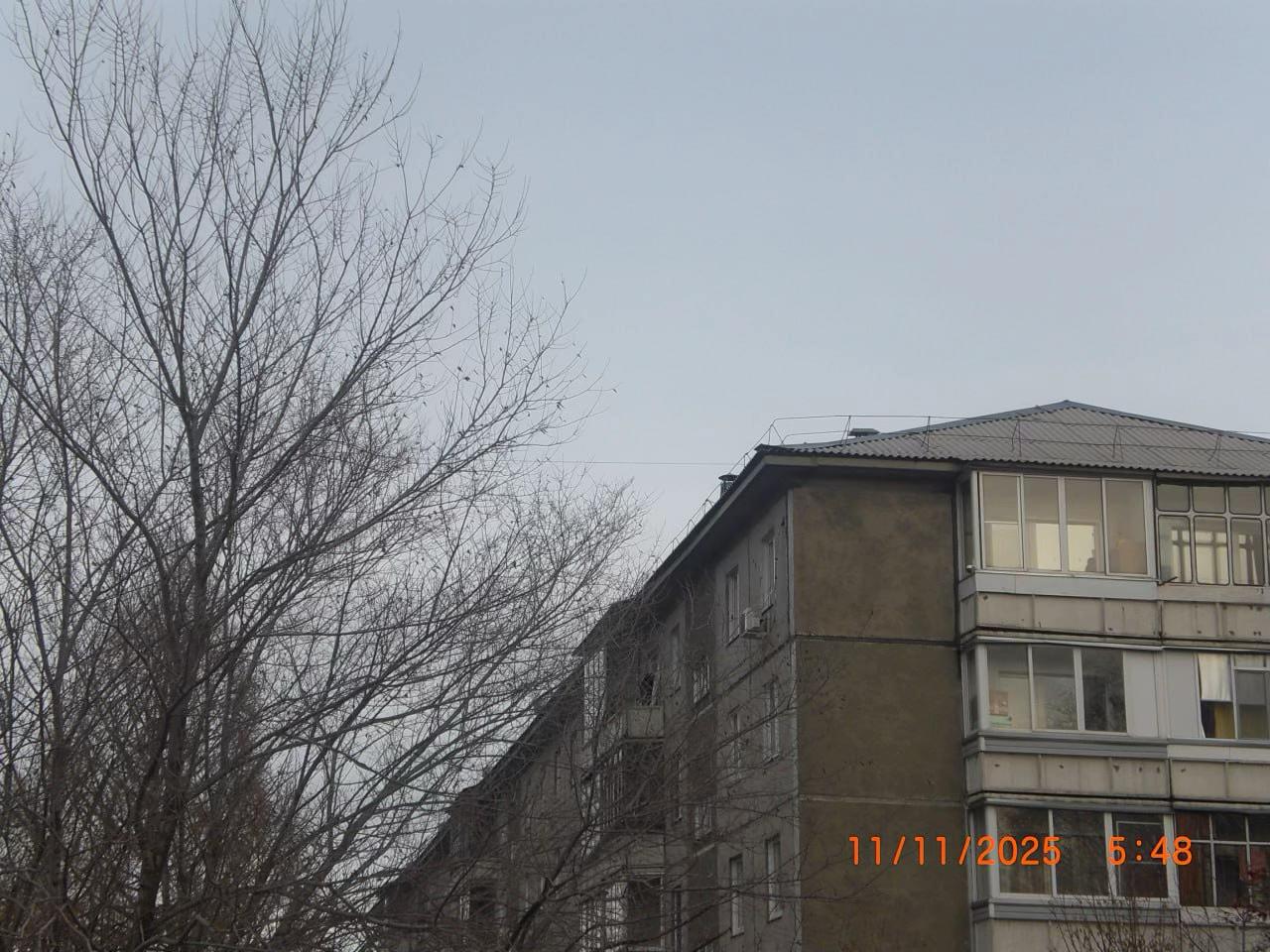 @палина.jpg