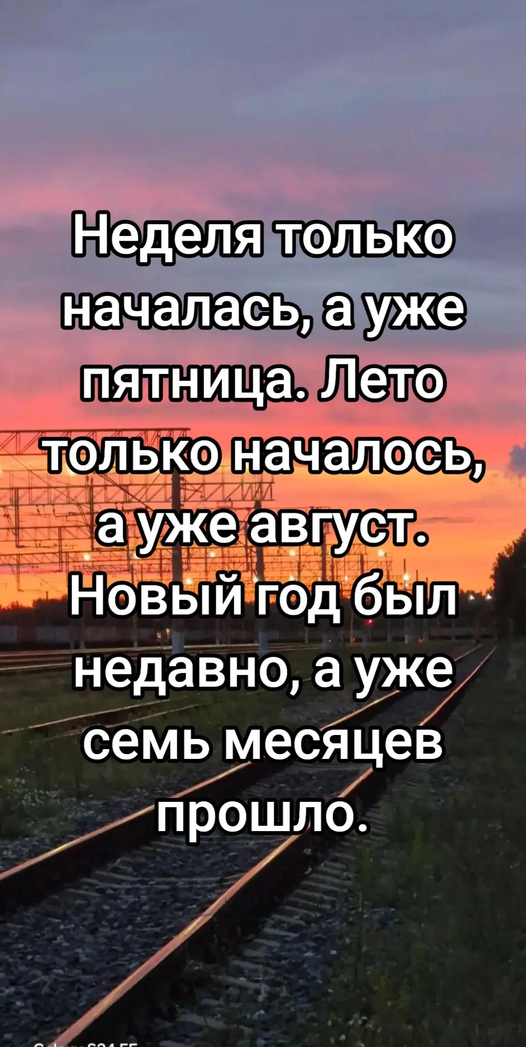 @🇷🇺bloger_76rus🇷🇺