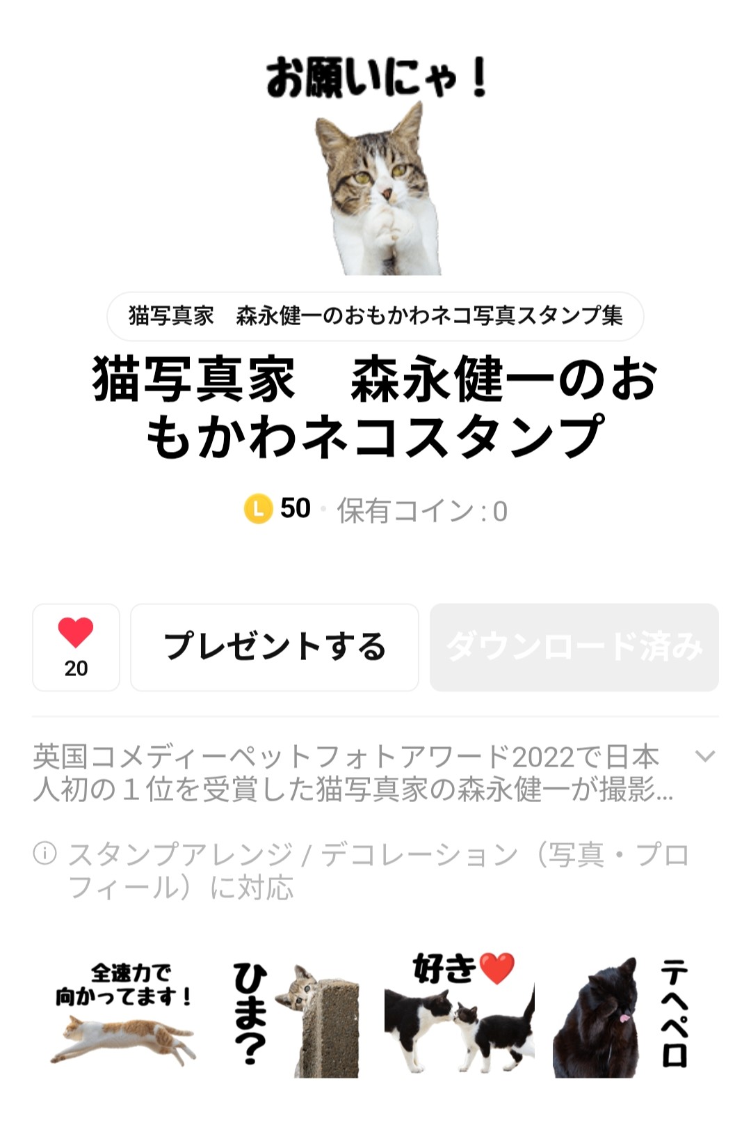 @猫写真家 森永健一
