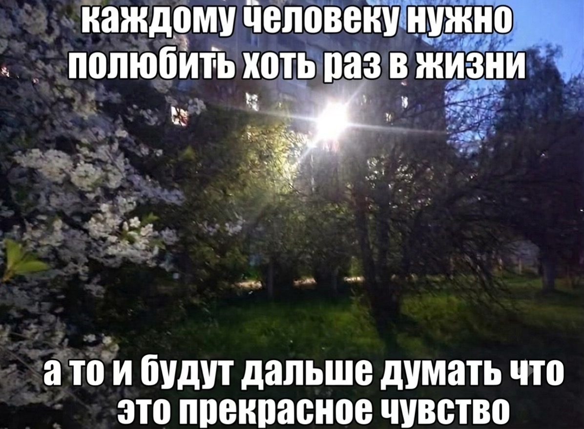 @златвв