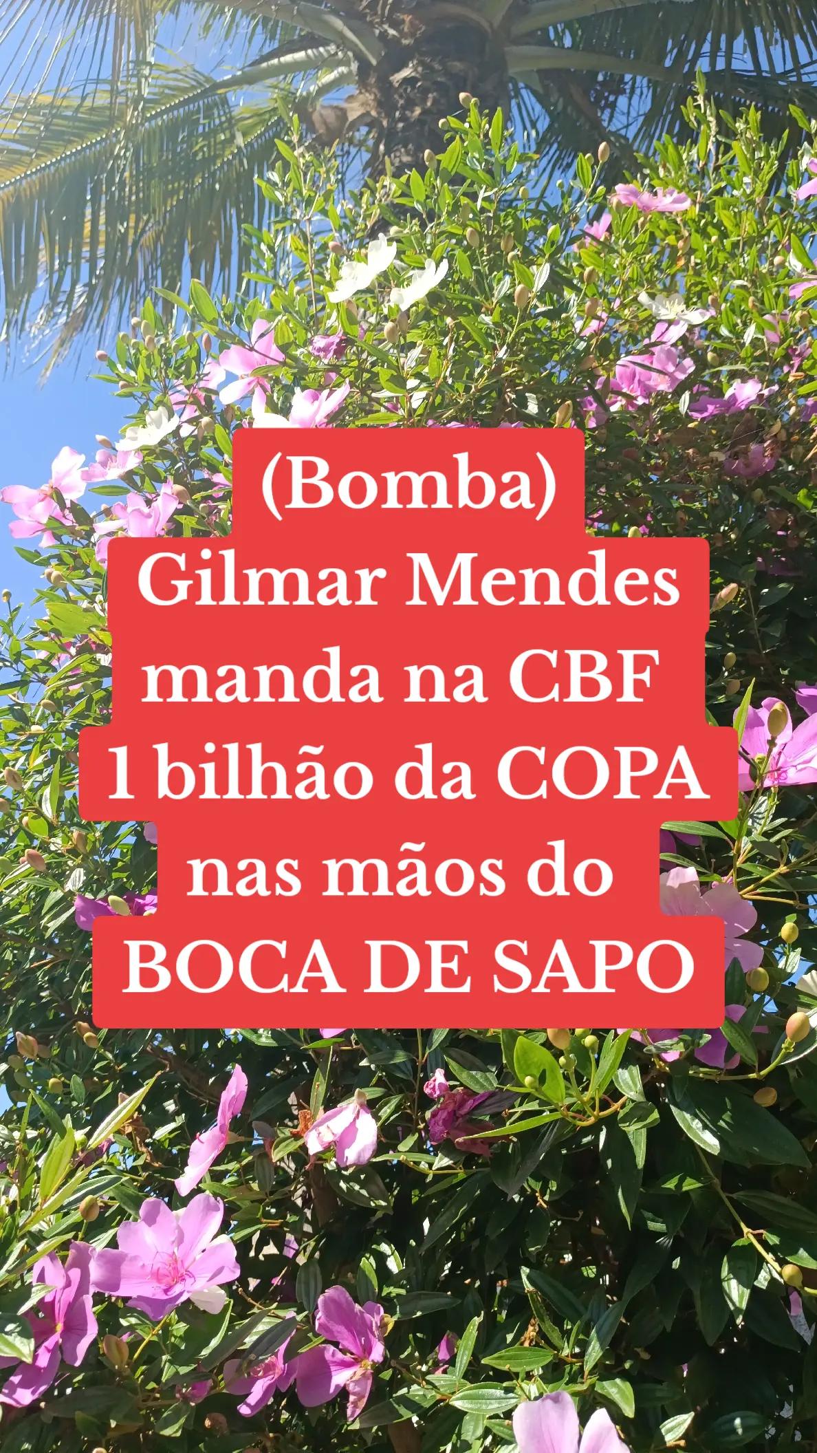 @Penha Reis🇧🇷