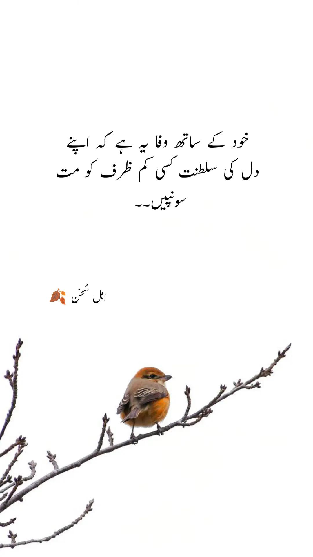 @اہل سخن 🍂