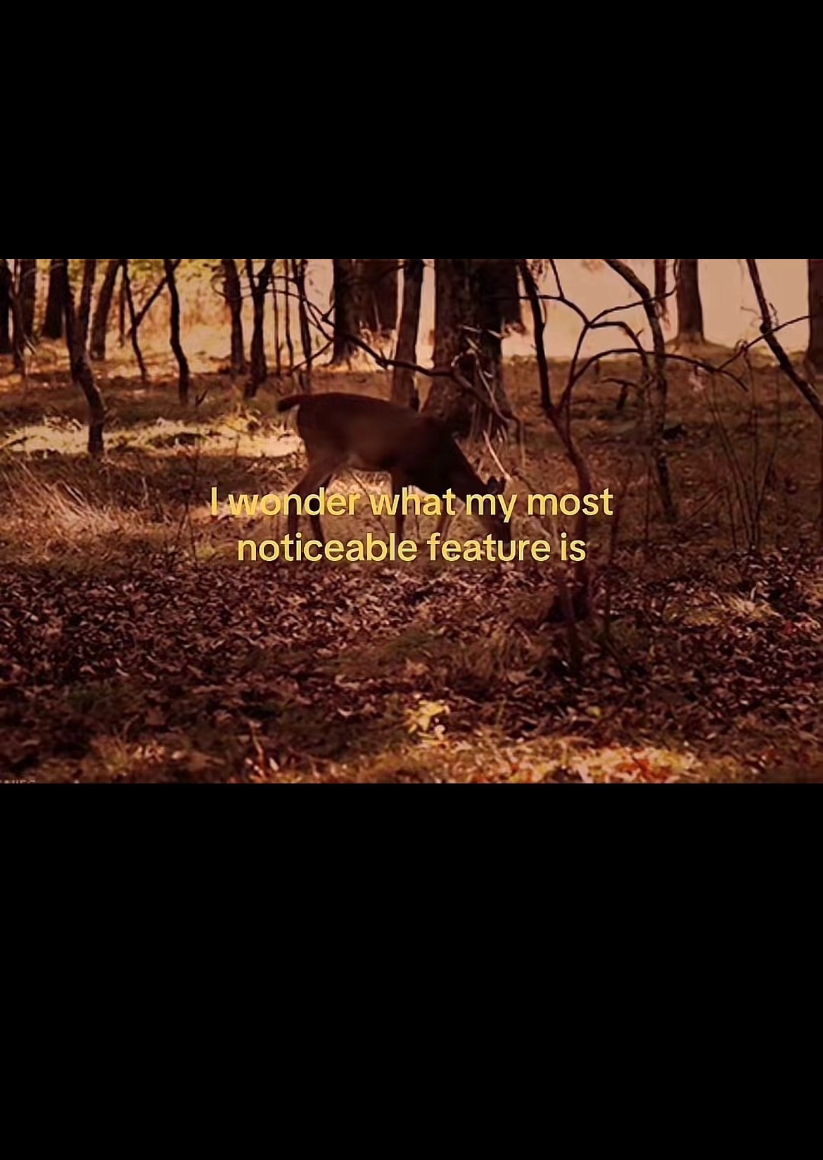 @😵💫🫰