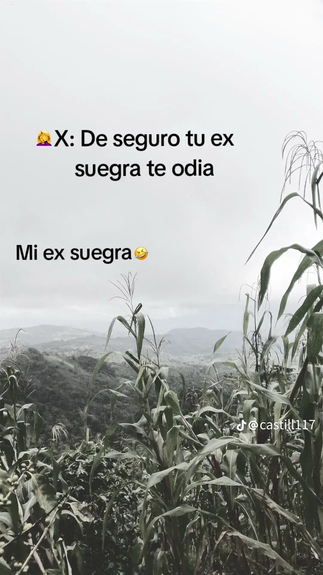 @.👤.