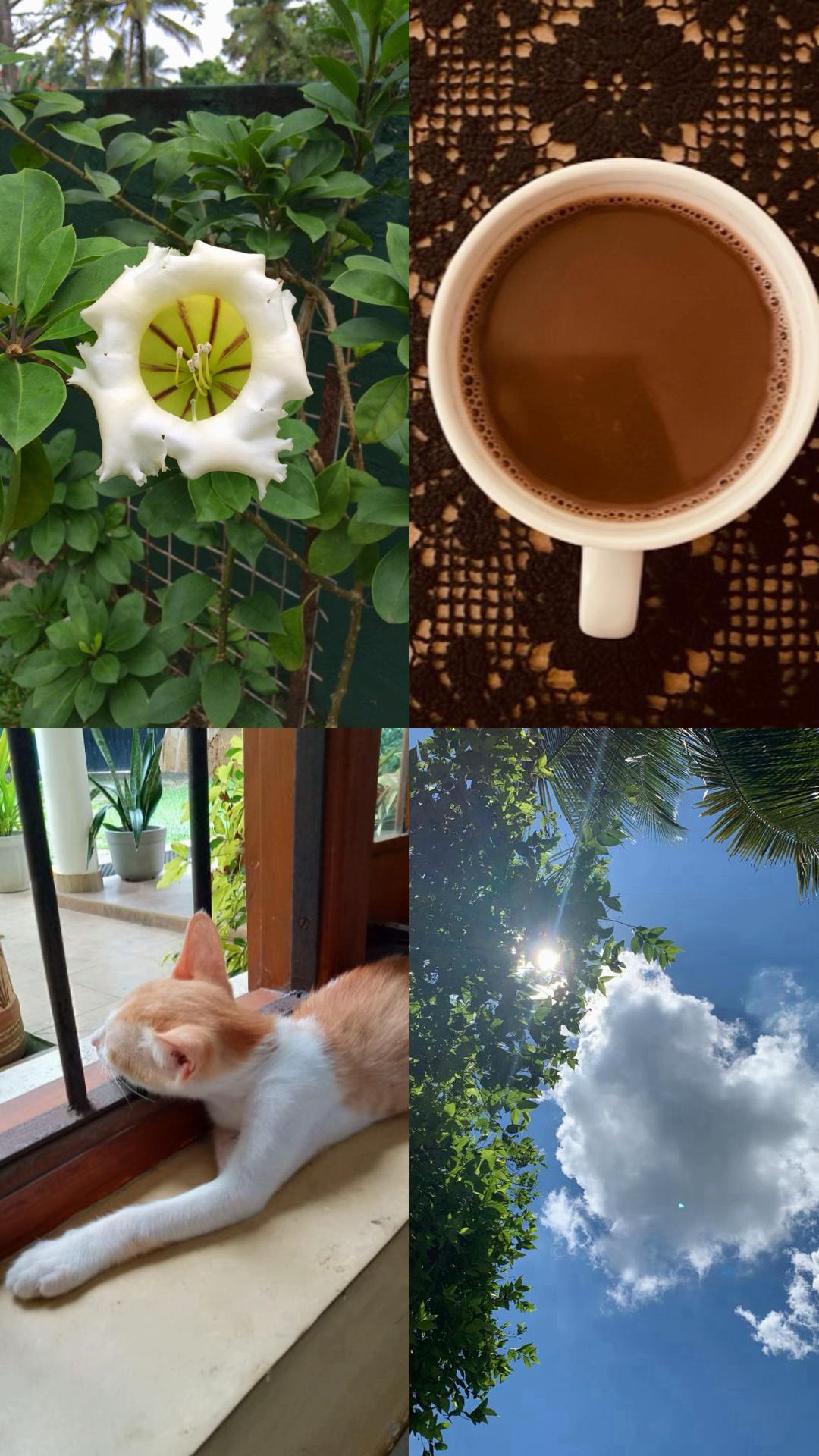 @Serene Srilanka
