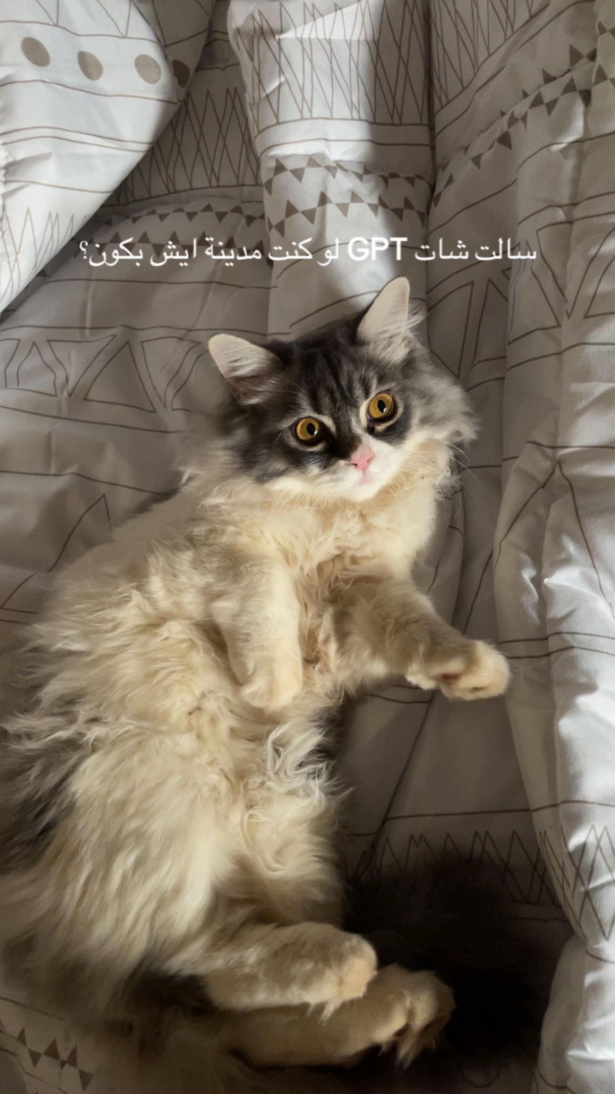 @𝐁𝐚𝐭𝐦𝐚𝐧𝐡❣️
