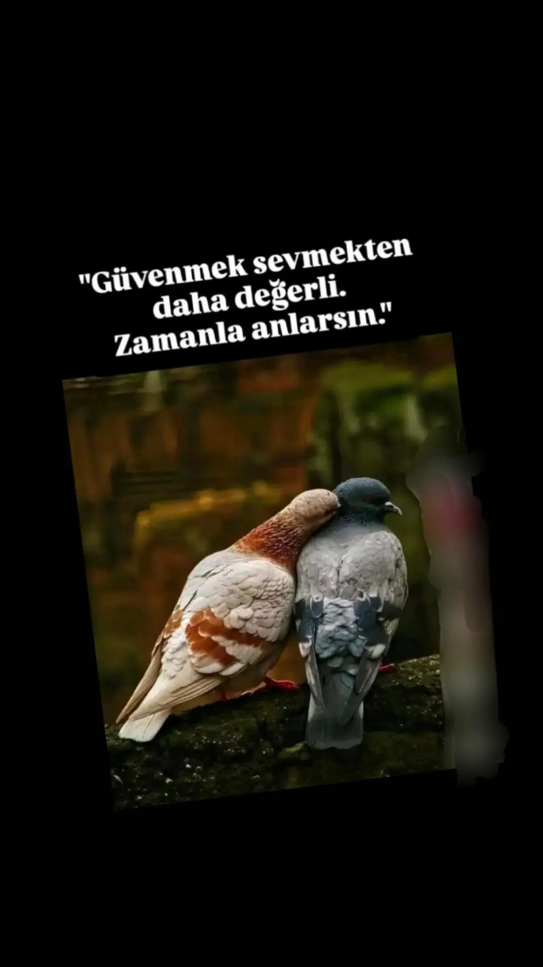 @55❤️&zwj;🔥Sevilay❤️&zwj;🔥55