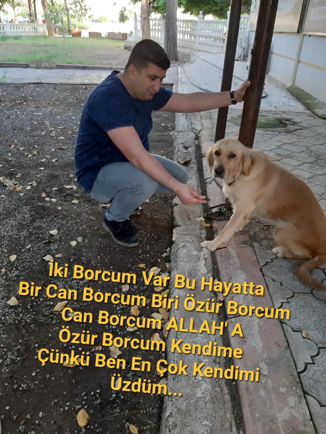 @yavuz&ouml;zer