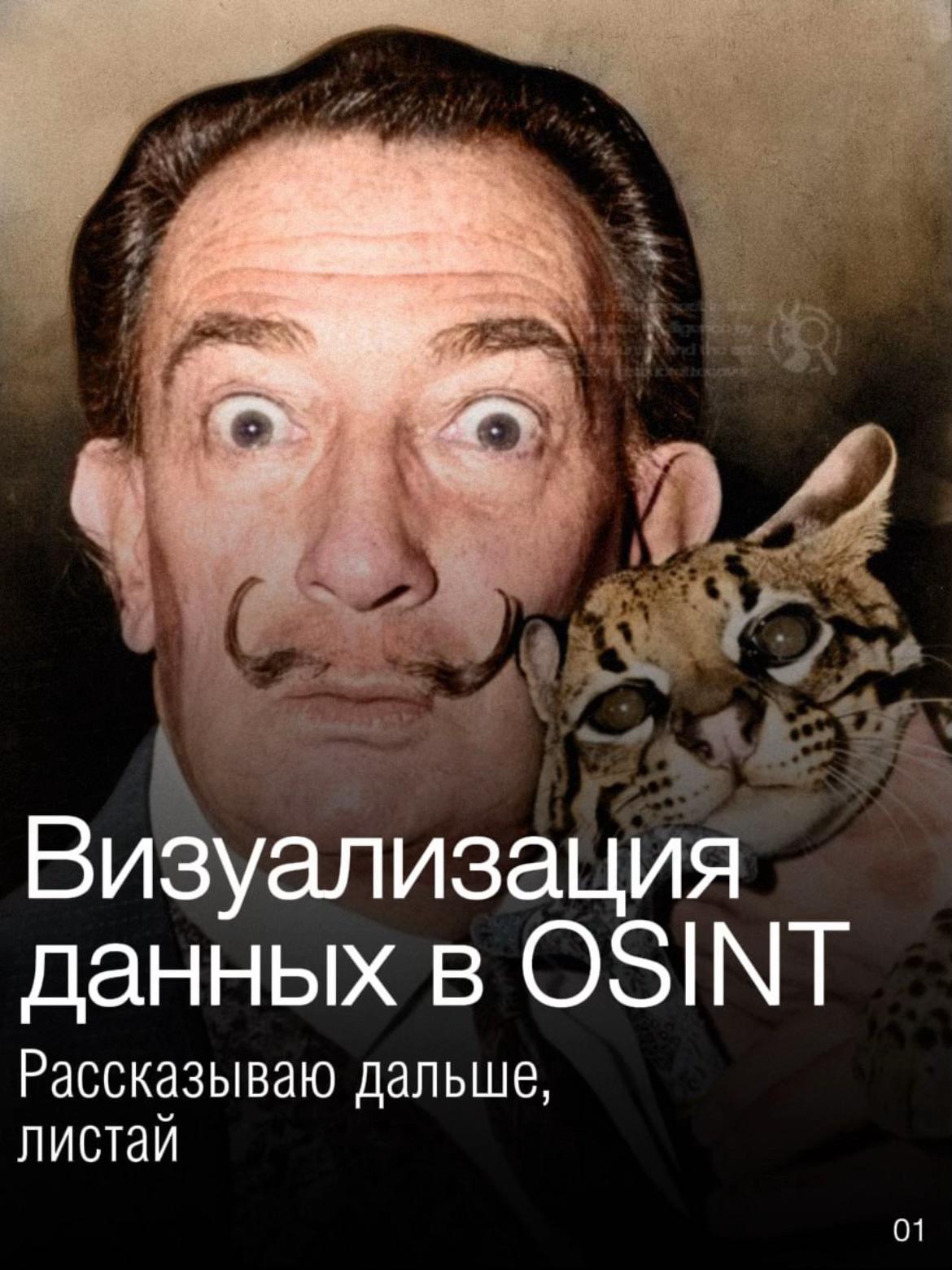 @dd1kie — OSINT, HUMINT