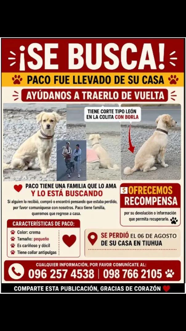 @Amigoscaninos_Ambato