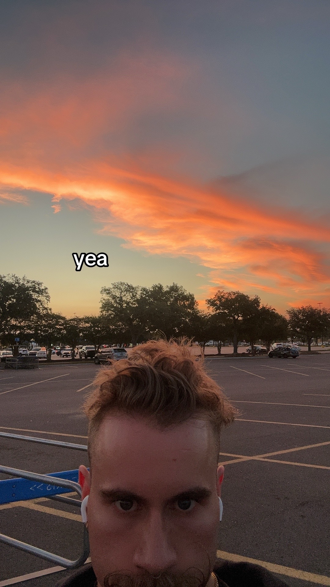 @thecolecallender