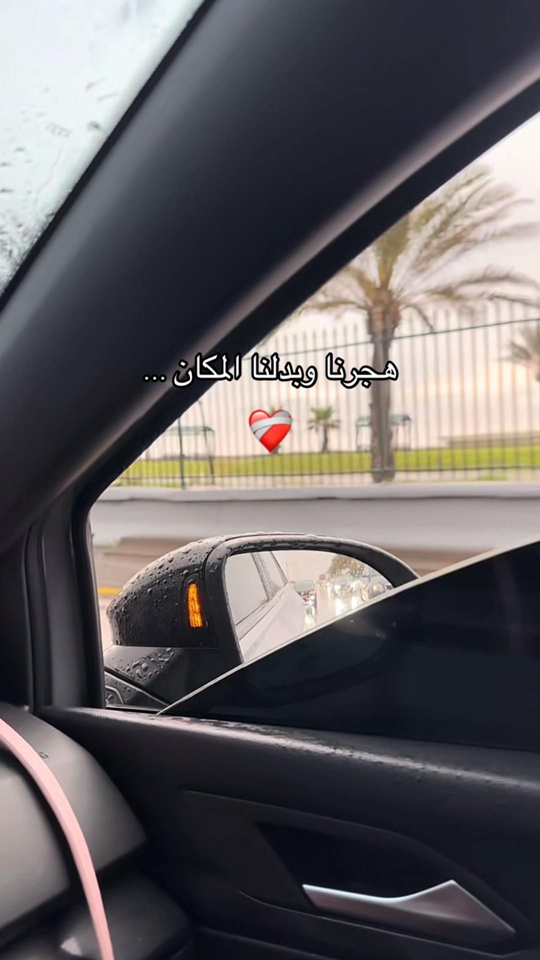 @🕊️