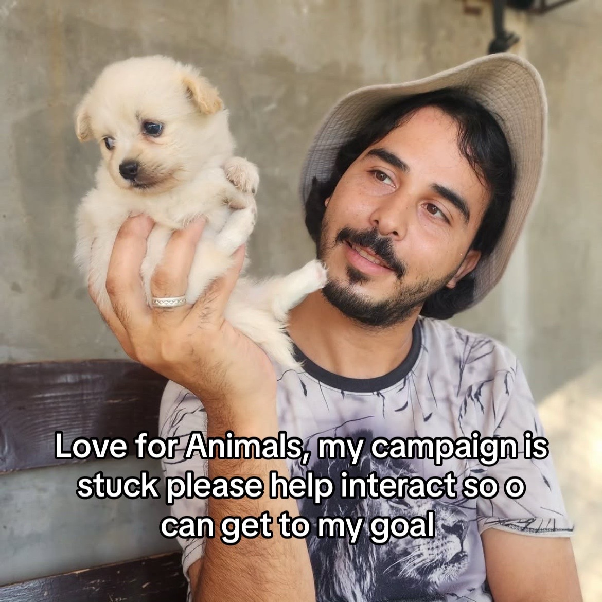 @Gaza Animal Rescue