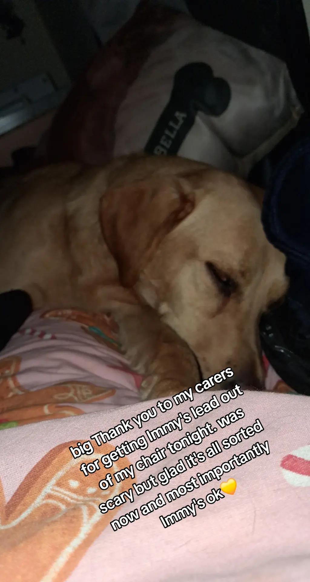 @SpasticAsexual 💜🤍🩶🖤👨🦼