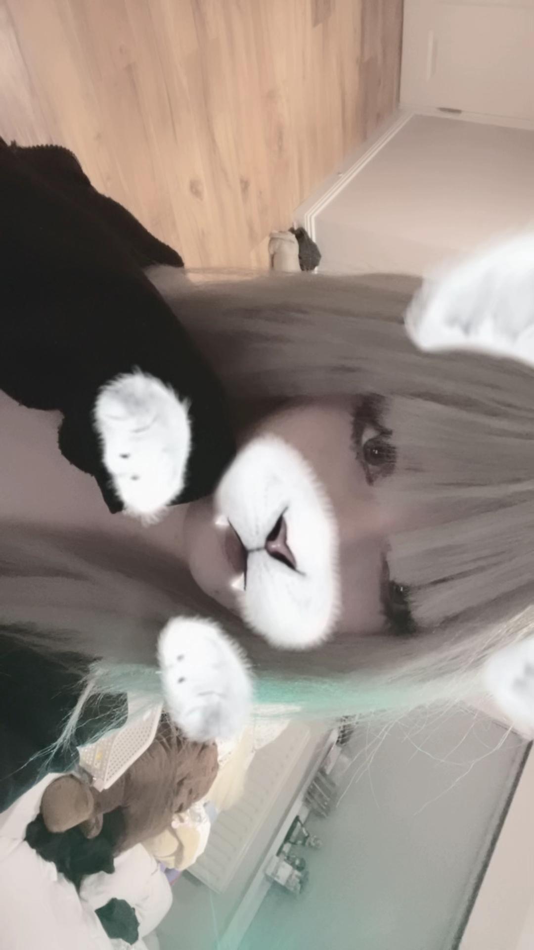 @🧁&hellip;.Payton( &acute; ▽ ` )