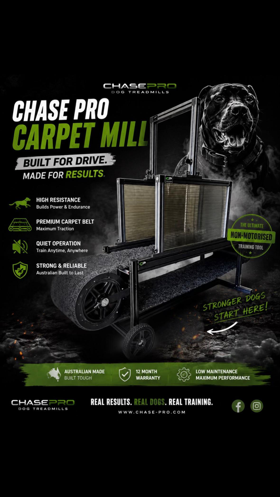 @chaseprodogtreadmills