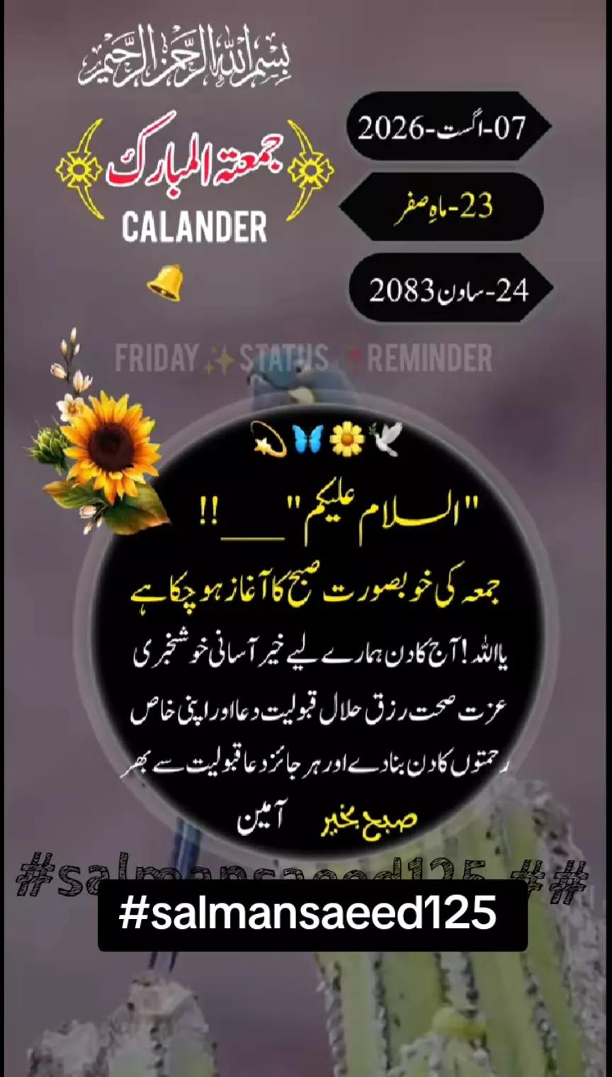 @SalmanSaeed125