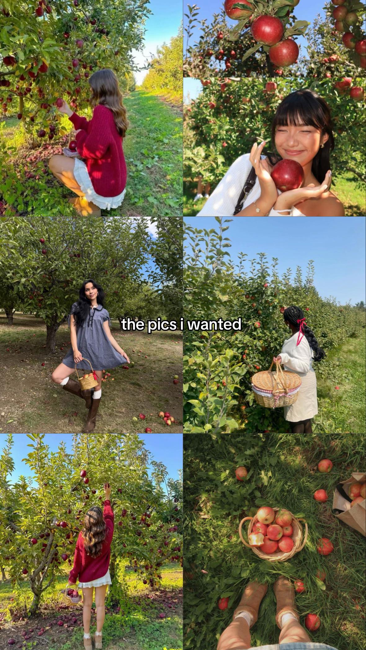 @zahraaeelm