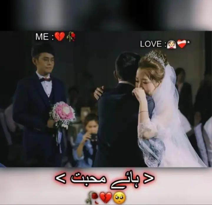 @🏴☠️_ پیر محمد_ بادشاہ_☠️