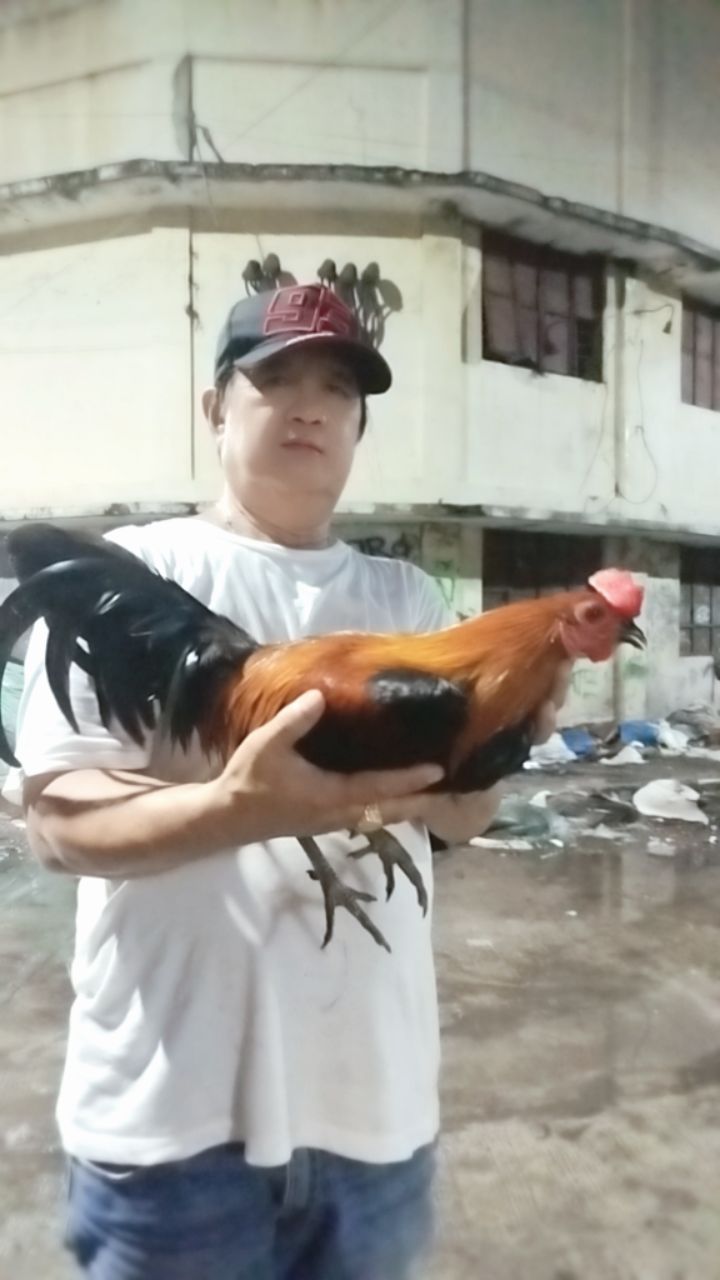 @Mindoreno