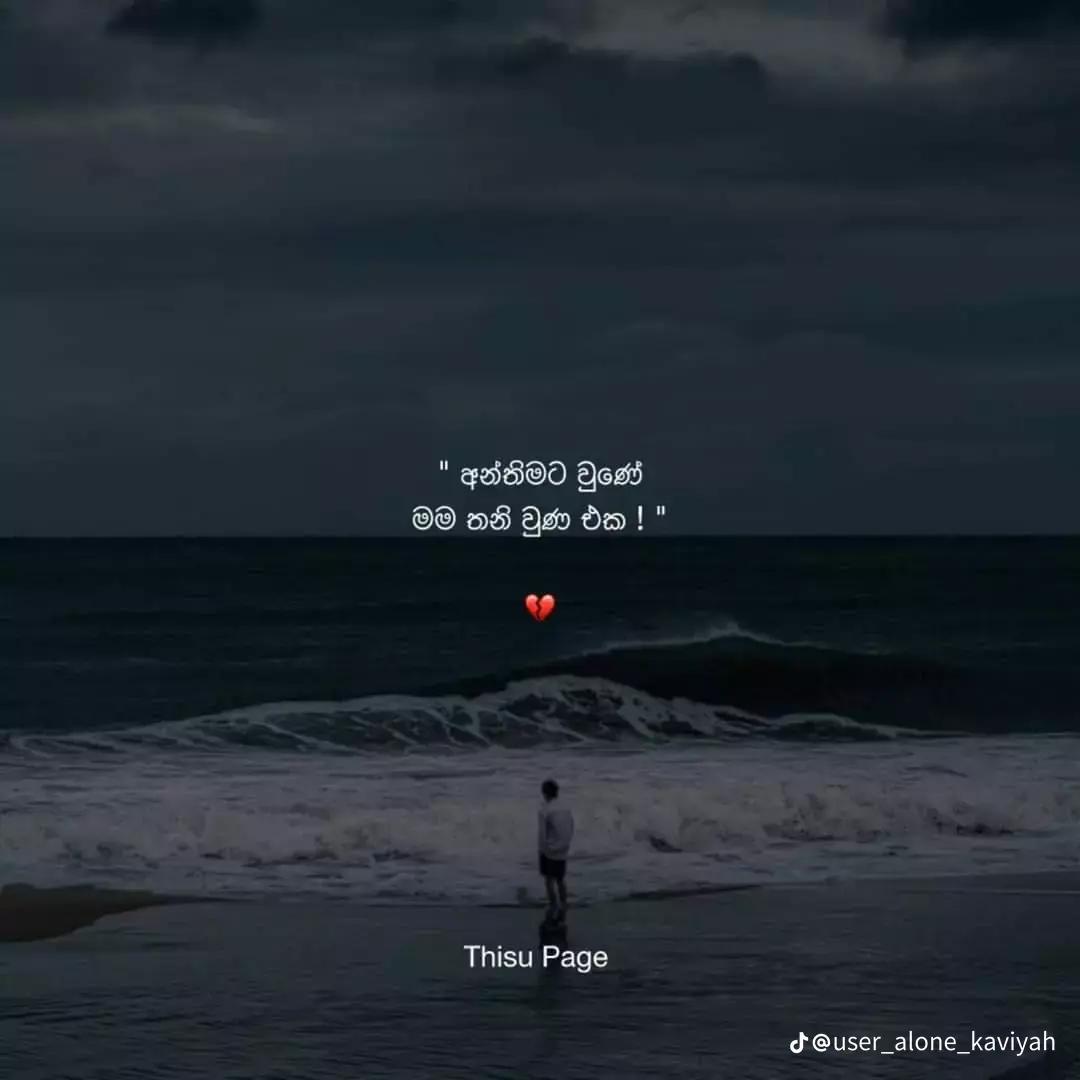 @[sachii]🧸❤️&zwj;🩹📌️🥀