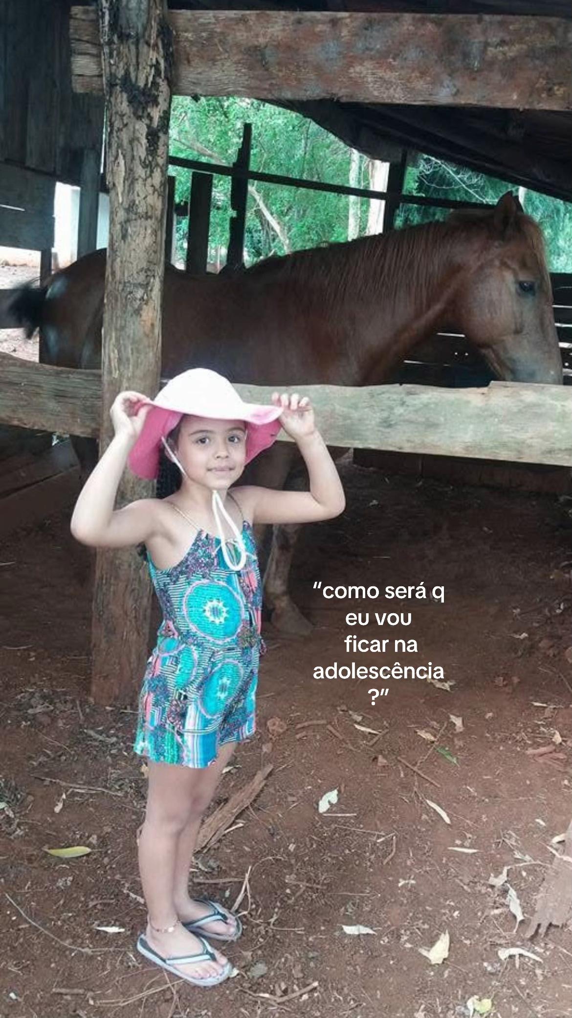 @ribeiro