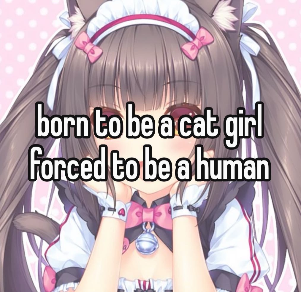 @ᑲ𝗈𐓣ᑲ𝗈𐓣•ᴥ•